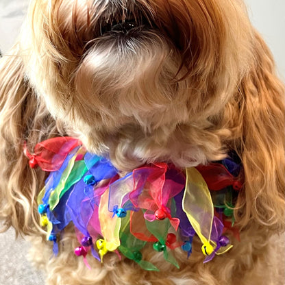 Carnival Dog Frill Collar with bells