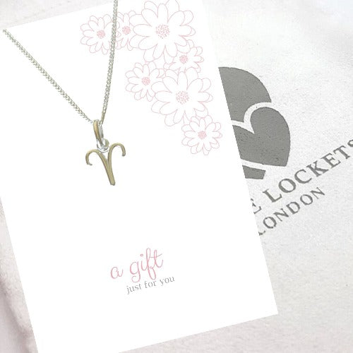 zodiac pendant on gift card with the message a gift for you, shown with luxury gift pouch