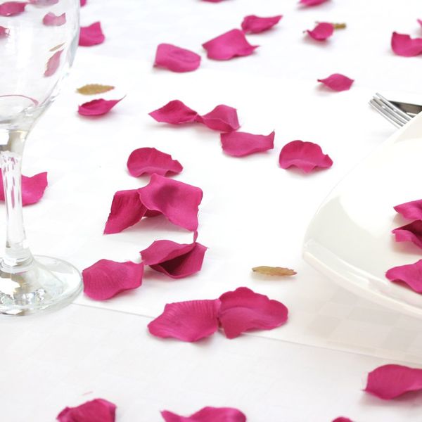 hot pink silk rose petal confetti