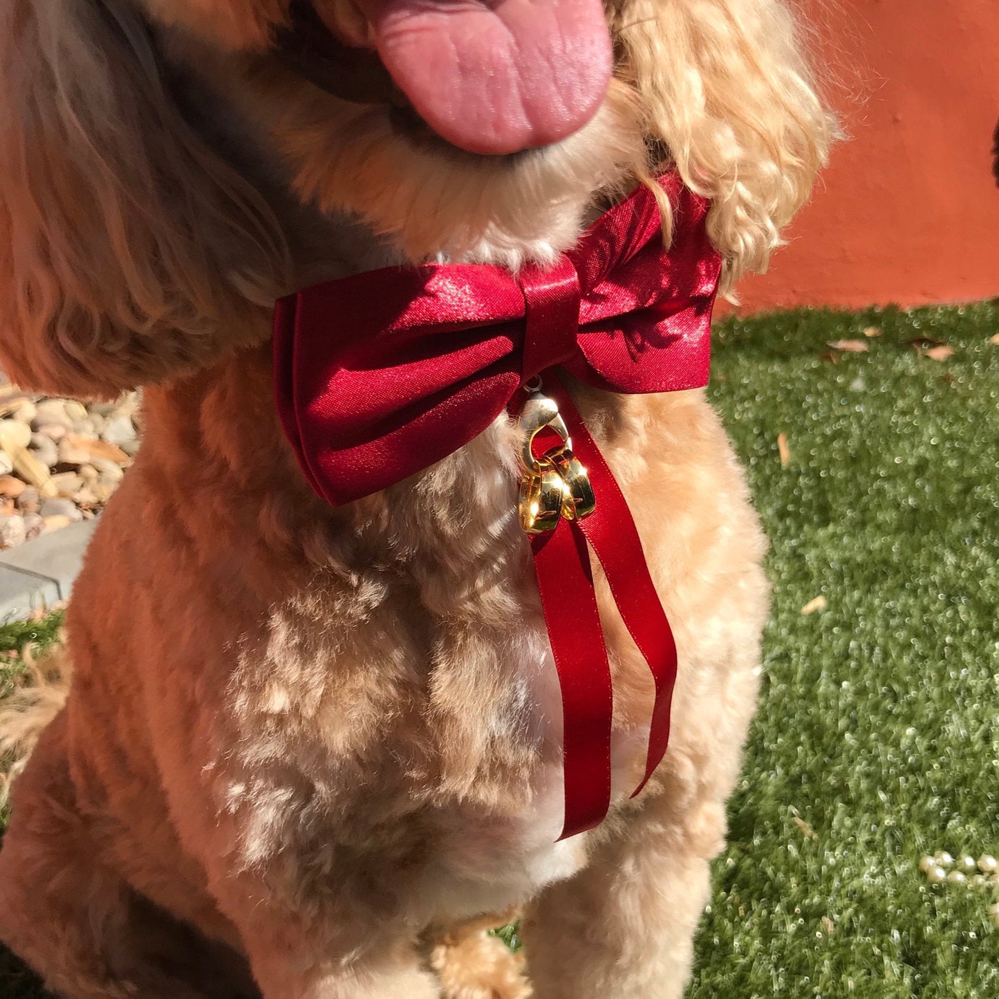 red satin dowg bow tie shown here with optional ring carrier
