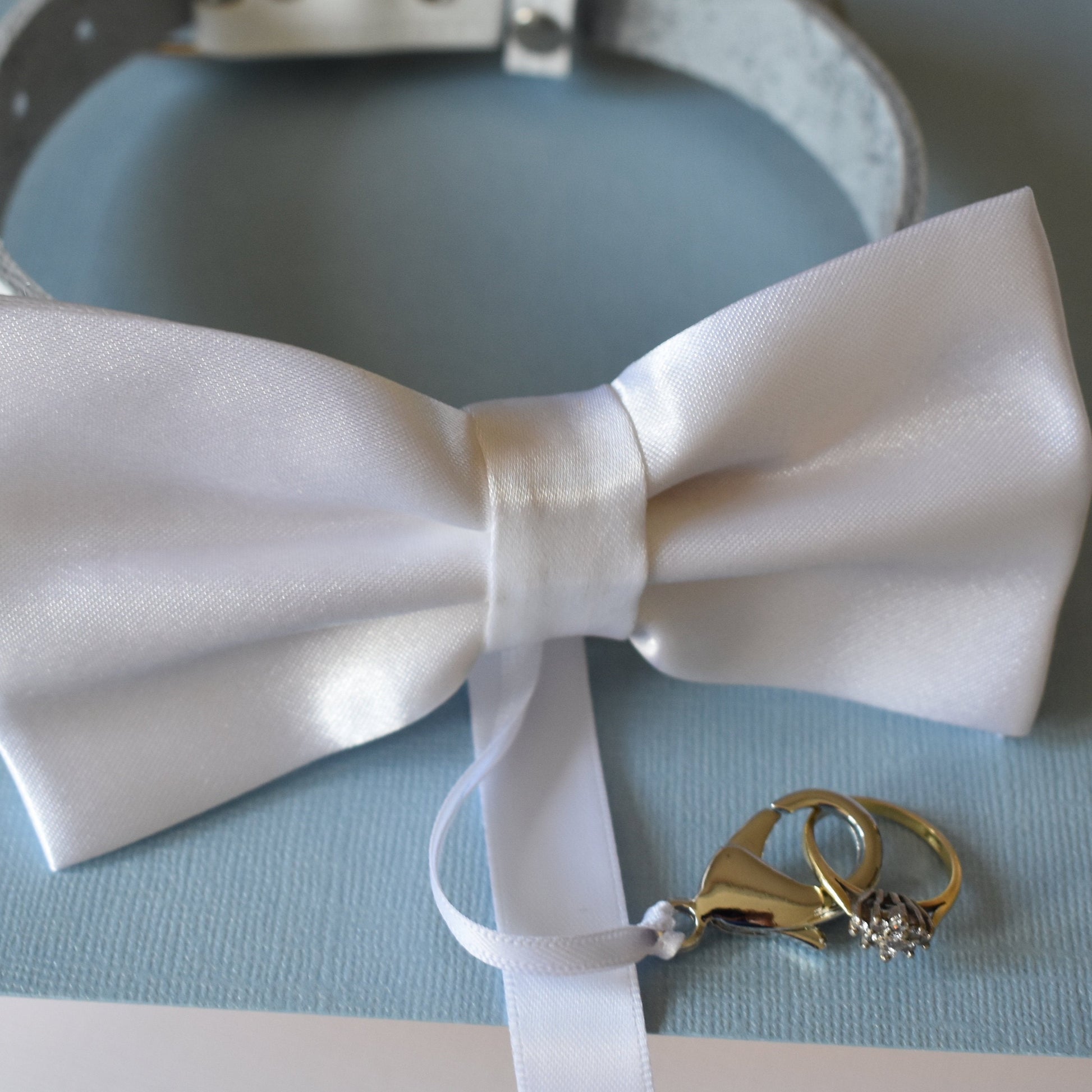 Close up of dog ring Bearer bow tie in white showing white leather collar and optional ring bearer clasp