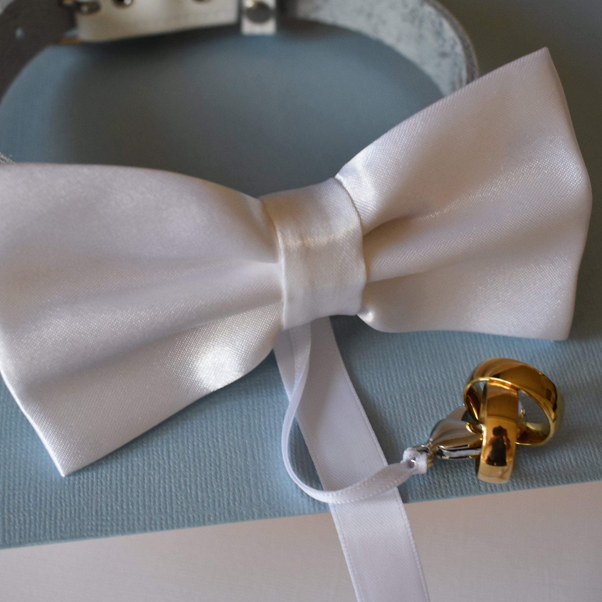 Close up of dog ring Bearer bow tie in white with optional ring carrier