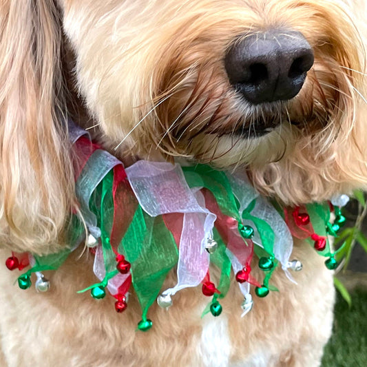 Festive dog frill with red, white and green tullle ribbons finished with co-ordinating jingle bells. Elasticated for ease of fit.