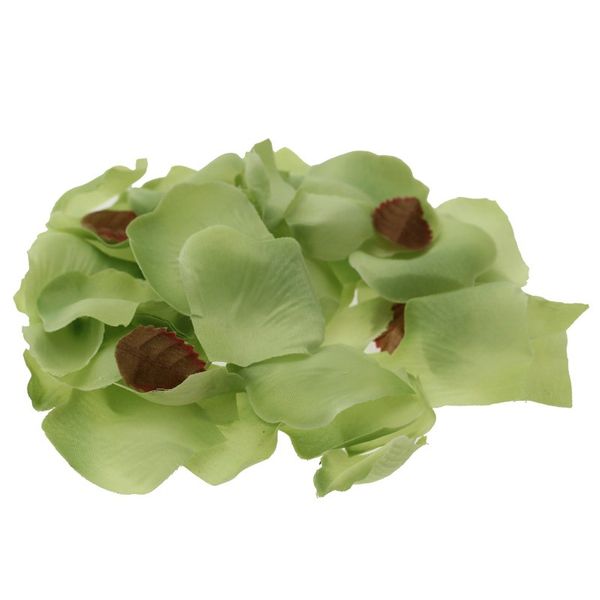 lime silk rose petal confetti