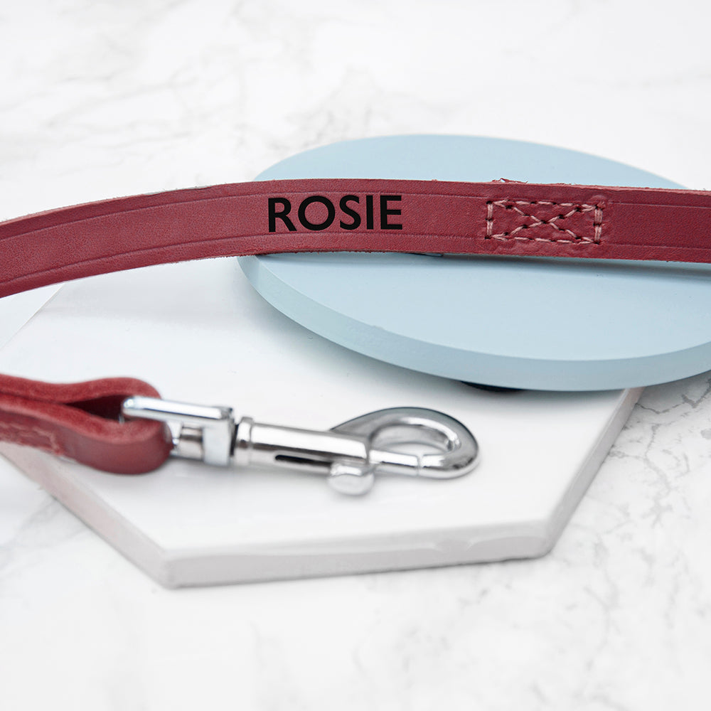 Personalised Leather Pet Collar in Three Colours