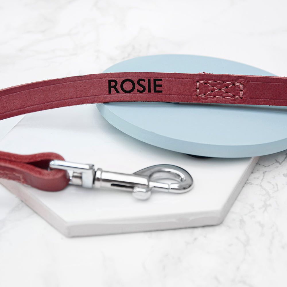Close up showing personalisation and clip on red leather dog lead